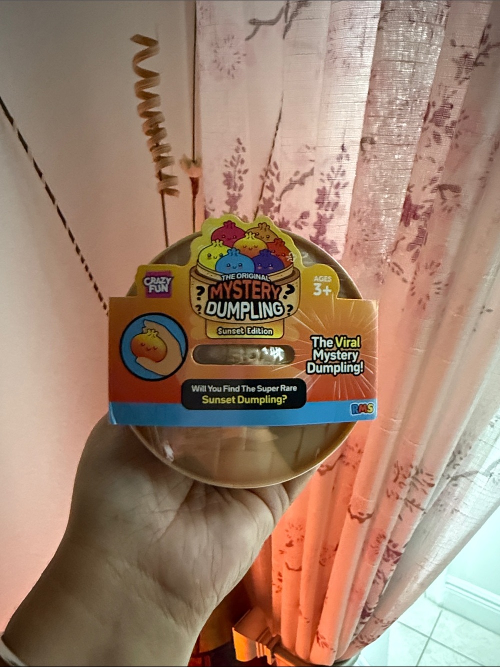 🌅 VIRAL DUMPLING- Sunset Edition
